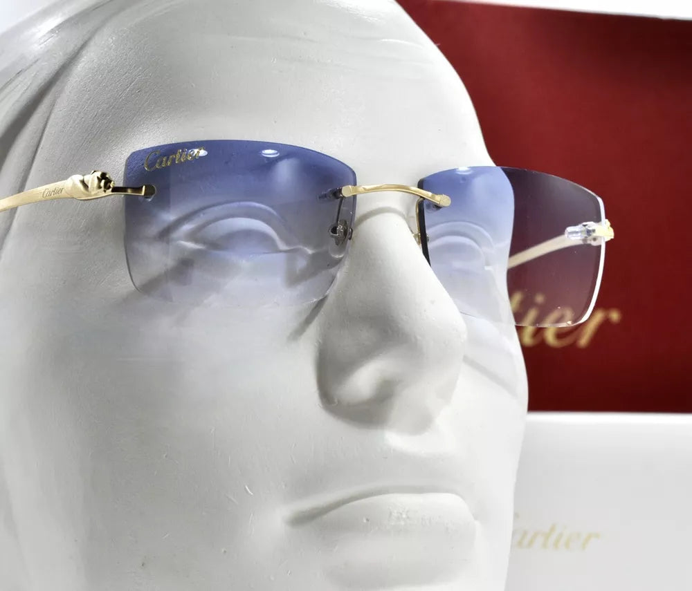Glasses