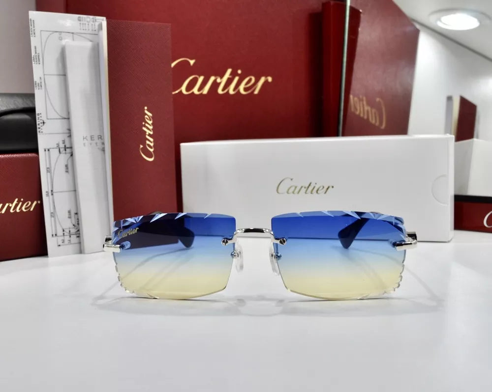Glasses