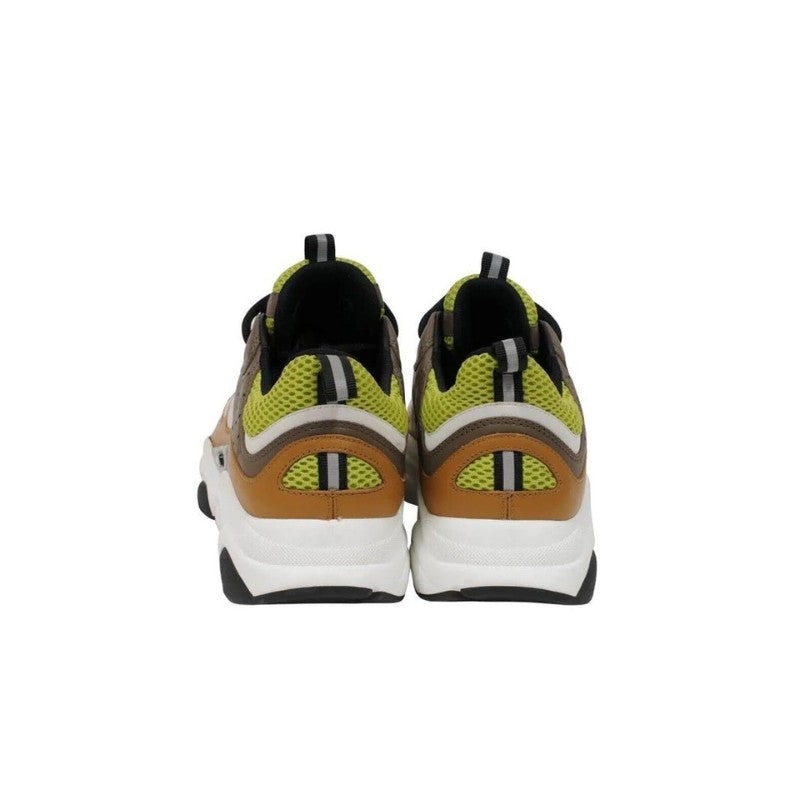 B22 GREEN BROWN