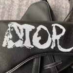DIOR BAG - Image 2