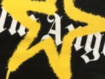 HOODIE P*LM ANG - Image 14