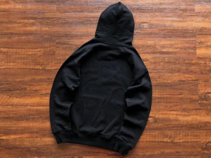 HOODIE P*LM ANG - Image 3