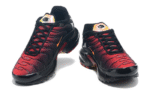 Black Orange - Image 2