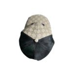 CAP GC - Image 5