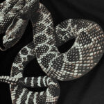 AMIRI T-SHIRT - Image 3