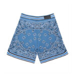 AMIRI SHORTS - Image 2