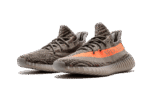 Beluga - Image 2