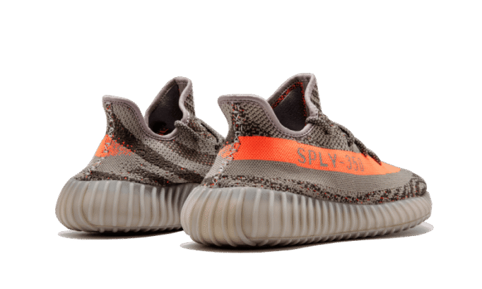 Beluga - Image 3