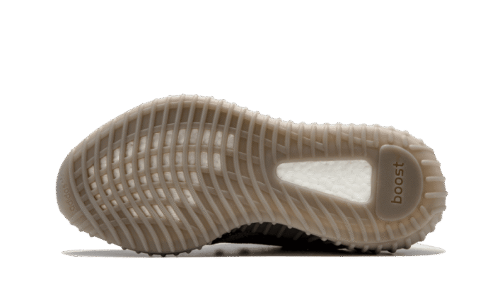 Beluga - Image 4