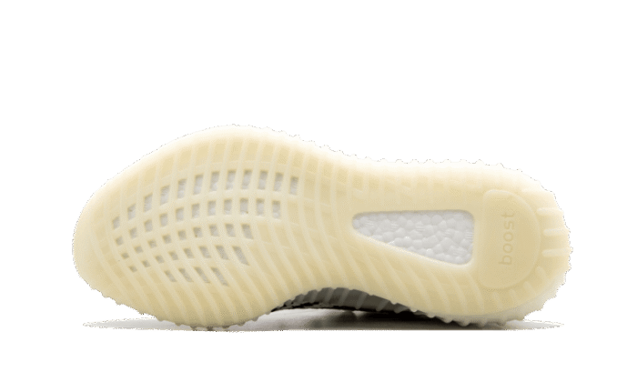 Zebra - Image 4