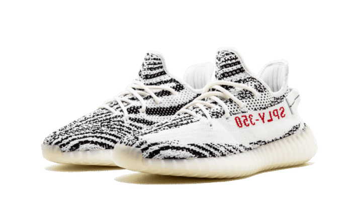 Zebra - Image 2
