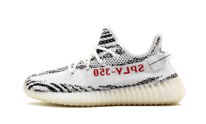 Zebra - Image 1